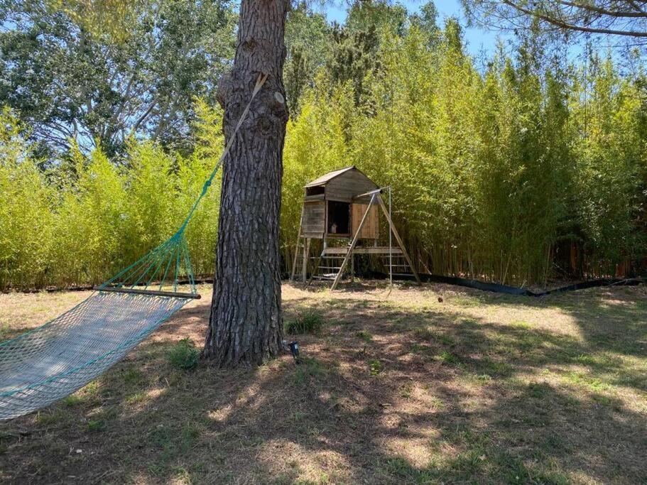 Petit Mas Calme Typique Du Sud ! Villa Valergues Buitenkant foto